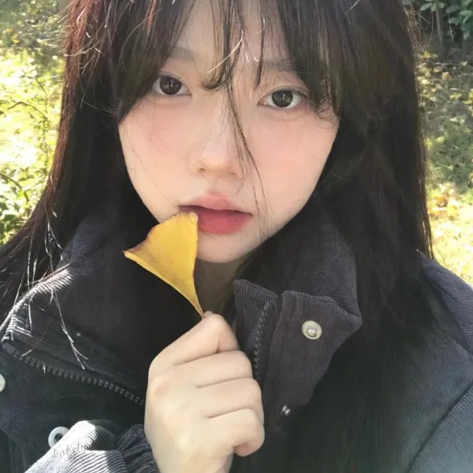 经典剧集