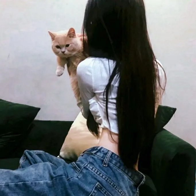 大人父母官
